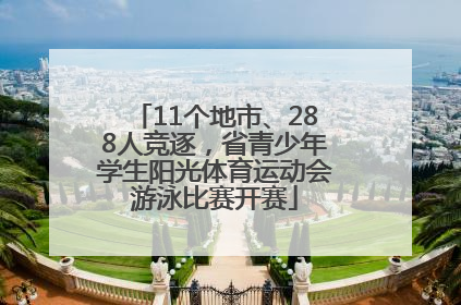 11个地市、288人竞逐，省青少年学生阳光体育运动会游泳比赛开赛