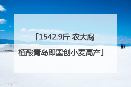 1542.9斤 农大腐植酸青岛即墨创小麦高产