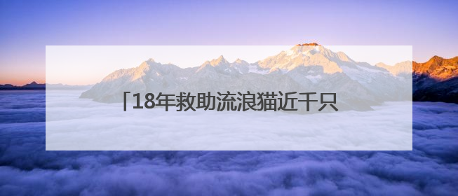 18年救助流浪猫近千只！冰城蔡大姐的猫咪情缘