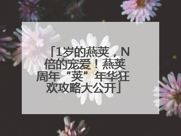 1岁的燕荚，N 倍的宠爱！燕荚周年“荚”年华狂欢攻略大公开