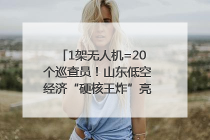 1架无人机=20个巡查员！山东低空经济“硬核王炸”亮相青岛，下一个万亿赛道藏在这里