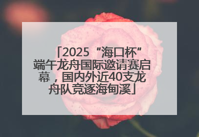 2025“海口杯”端午龙舟国际邀请赛启幕，国内外近40支龙舟队竞逐海甸溪