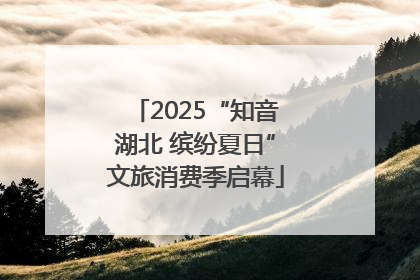 2025“知音湖北 缤纷夏日”文旅消费季启幕