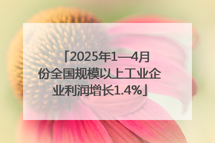 2025年1—4月份全国规模以上工业企业利润增长1.4%