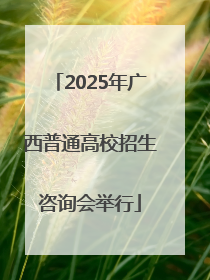 2025年广西普通高校招生咨询会举行