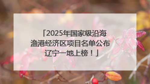2025年国家级沿海渔港经济区项目名单公布 辽宁一地上榜！