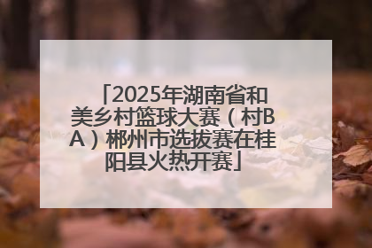 2025年湖南省和美乡村篮球大赛（村BA）郴州市选拔赛在桂阳县火热开赛
