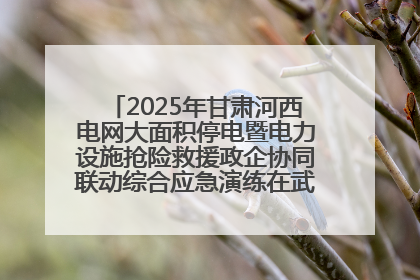 2025年甘肃河西电网大面积停电暨电力设施抢险救援政企协同联动综合应急演练在武威成功举行