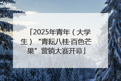 2025年青年（大学生）“青耘八桂·百色芒果”营销大赛开幕