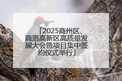 2025商州区、商洛高新区高质量发展大会暨项目集中签约仪式举行