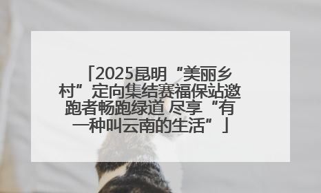 2025昆明“美丽乡村”定向集结赛福保站邀跑者畅跑绿道 尽享“有一种叫云南的生活”