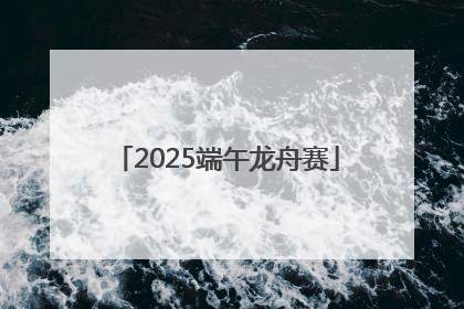 2025端午龙舟赛