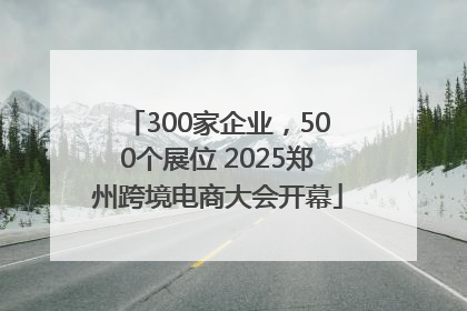 300家企业，500个展位 2025郑州跨境电商大会开幕