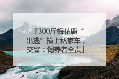 300斤梅花鹿“出逃”撞上私家车，交警：饲养者全责