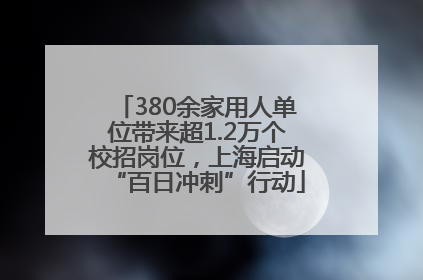 380余家用人单位带来超1.2万个校招岗位，上海启动“百日冲刺”行动