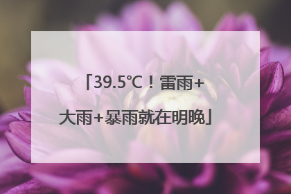 39.5℃！雷雨+大雨+暴雨就在明晚
