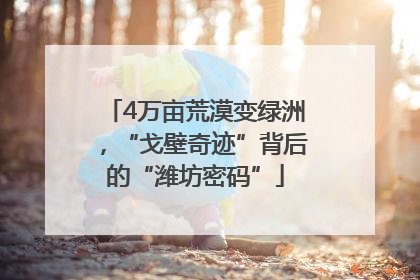 4万亩荒漠变绿洲，“戈壁奇迹”背后的“潍坊密码”