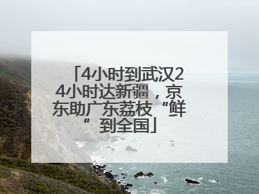 4小时到武汉24小时达新疆，京东助广东荔枝“鲜”到全国