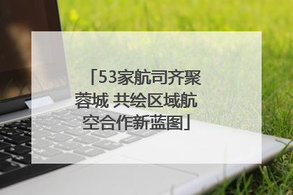 53家航司齐聚蓉城 共绘区域航空合作新蓝图