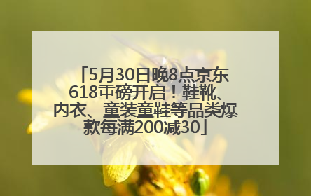 5月30日晚8点京东618重磅开启！鞋靴、内衣、童装童鞋等品类爆款每满200减30