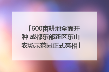 600亩耕地全面开种 成都东部新区东山农场示范园正式亮相