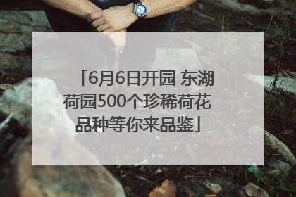 6月6日开园 东湖荷园500个珍稀荷花品种等你来品鉴