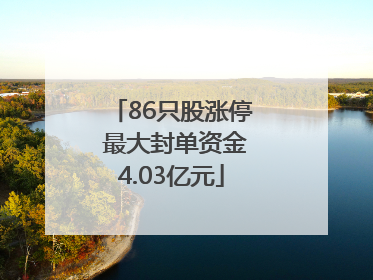 86只股涨停 最大封单资金4.03亿元