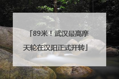 89米！武汉最高摩天轮在汉阳正式开转