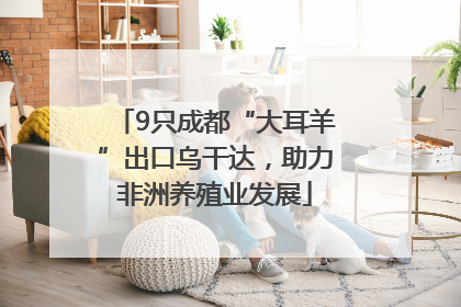 9只成都“大耳羊”出口乌干达，助力非洲养殖业发展