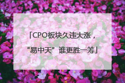 CPO板块久违大涨，“易中天”谁更胜一筹