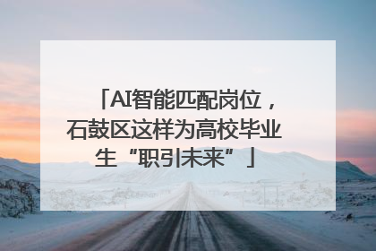 AI智能匹配岗位，石鼓区这样为高校毕业生“职引未来”