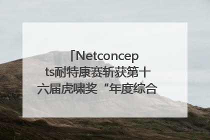 Netconcepts耐特康赛斩获第十六届虎啸奖“年度综合服务商”大奖