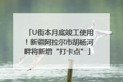 U街本月底竣工使用！新疆阿拉尔市胡杨河畔将新增“打卡点”